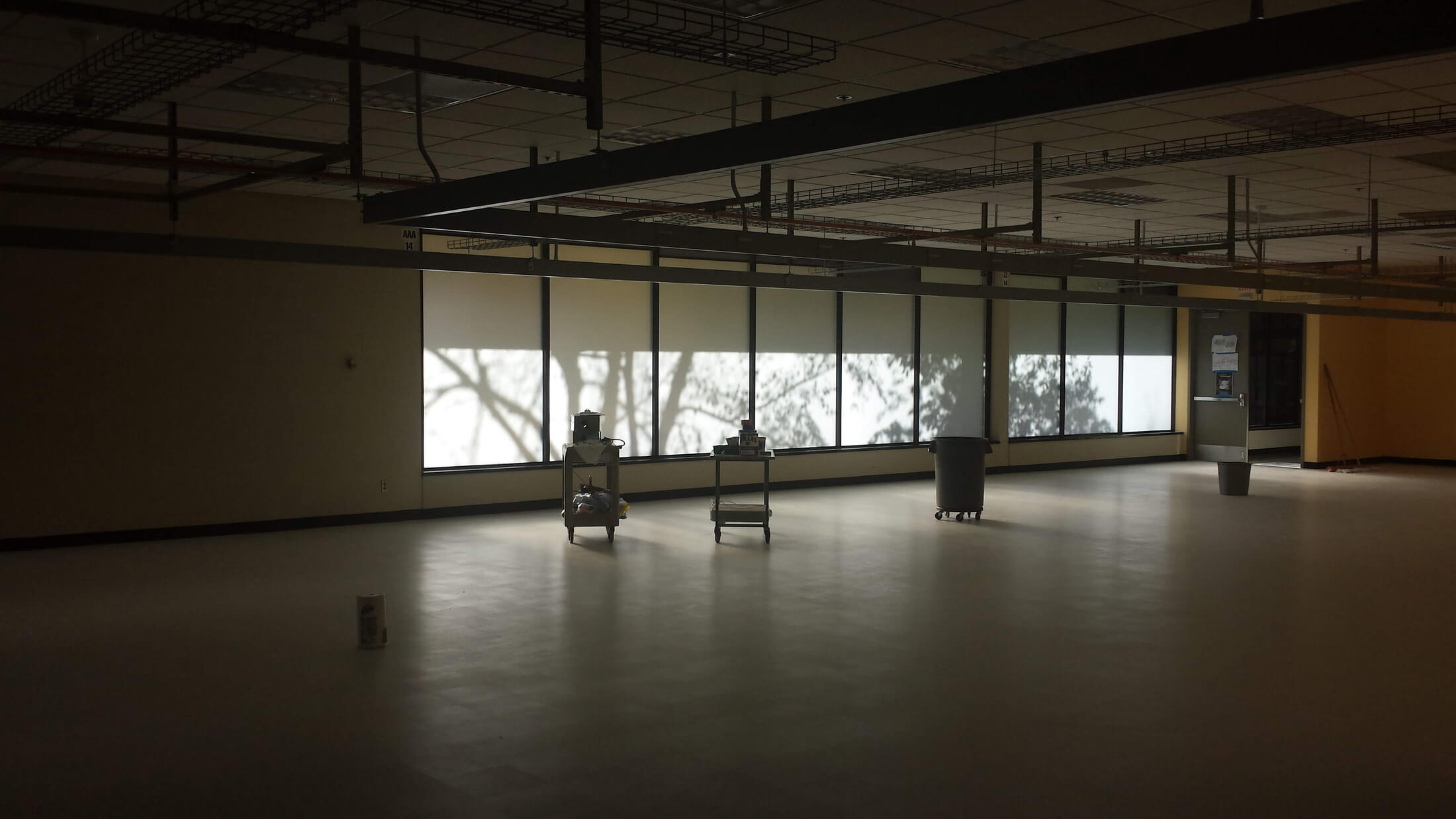 20141107_135243-e1461605286524